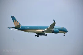 Vietnam Airlines recupera por completo su mercado nacional