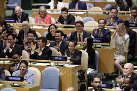 Asunción de presidencia del Consejo de Seguridad de ONU: un desafío para Vietnam