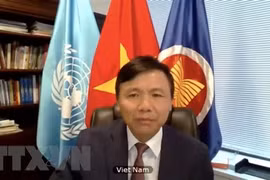 Vietnam condena terrorismo en todas sus formas y manifestaciones