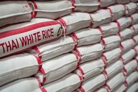 Tailandia por convertirse en centro de alimentos procesados de ASEAN