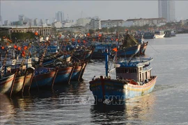 Revisan la pesca con responsabilidad en localidades centrales de Vietnam