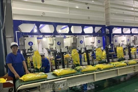 Vietnam por garantizar normas sobre la certificación de arroz aromático exportable a la UE