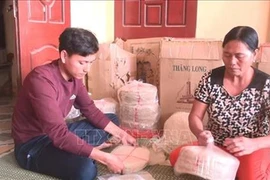Provincia vietnamita de Thanh Hoa por preservar oficios tradicionales