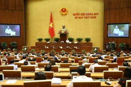 Prosigue Asamblea Nacional de Vietnam su IX perído de sesiones