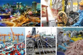 Emite Gobierno de Vietnam resolución sobre orientaciones para tareas de 2020