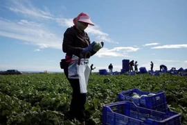 Vietnam presta atención especial a los migrantes