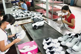 Promueven cooperación entre empresas deportivas de Vietnam y los Países Bajos
