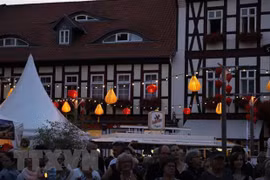 Protegen en Vietnam patrimonio cultural mundial de Hoi An