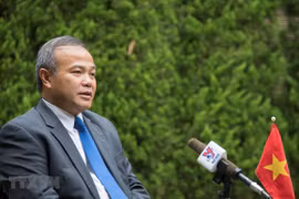 Vietnamitas en Japón mantienen unidos ante pandemia de COVID-19