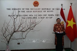 Comunidad vietnamita en Egipto se une al ambiente festivo del Tet 