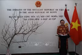 Comunidad vietnamita en Egipto se une al ambiente festivo del Tet 