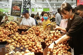 Busca Vietnam aumentar presencia de productos en mercados de la ASEAN