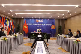 Destacan solidaridad de la ASEAN en combate contra pandemia