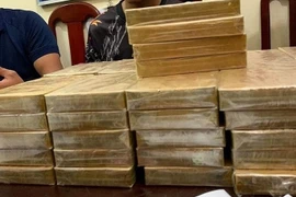 Capturan en Vietnam a tres narcotraficantes y decenas de bloques de heroína