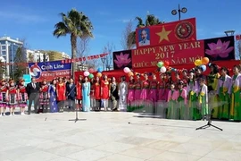 Festejan vietnamitas en Chipre el Tet tradicional