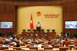 Parlamento vietnamita debate el proyecto de Ley de Protección del Entorno (enmendada)
