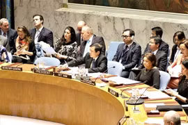 Vietnam finaliza con presteza informe mensual como presidente del Consejo de Seguridad de la ONU