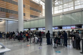 Regresan a tierra natal más de 340 ciudadanos vietnamitas en Japón