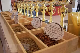 Vietnam se convierte en mayor proveedor de café de Japón