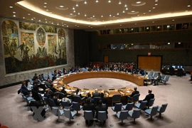 Vietnam preside reunión en línea de 10 países miembros no permanente del CSNU
