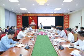 Instan a agilizar movilización de aportes de vietnamitas en exterior al progreso nacional