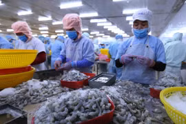  Vietnam es socio económico destacado de Australia, según informe de instituciones 