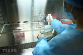 Espera Vietnam distribución universal de vacuna anticovid en 2022 