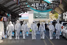 Cancillería vietnamita acelera medidas de protección de ciudadanos en Corea del Sur