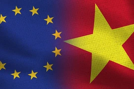 Impulsan cambio digital en Vietnam para aprovechar oportunidades del EVFTA