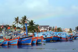 Elaboran planificación del sistema de puertos de pesca en Vietnam