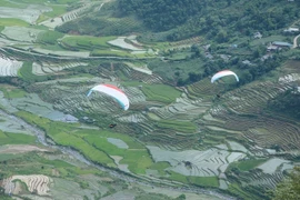 Turismo en provincia vietnamita se reanima con festival de parapente 