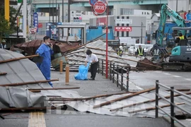 Hallan cadáver de ciudadano vietnamita desparecido tras paso de supertifón Haishen en Japón