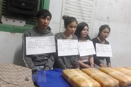 Desmantela policía de Vietnam red narcotraficante a través de frontera con Laos 