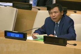 Vietnam e Indonesia piden un enfoque integral para abordar desafíos en Mali