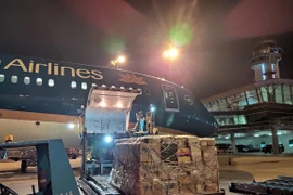 Vietnam Airlines llevará gratis a Hanoi equipos contra coronavirus