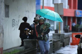Evacúan a casi nueve mil personas en Filipinas por tifón Molave 