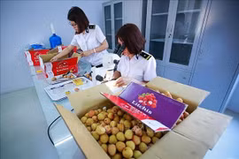 Relaciones económicas Vietnam-Australia, en momentos importantes