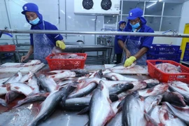 Vietnam busca impulsar mercado doméstico del pescado Tra