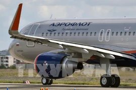 Apoya Vietnam a sus ciudadanos varados en aeropuerto de Moscú 