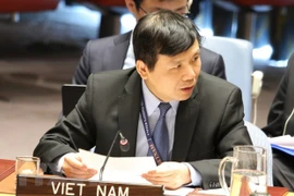 Apoya Vietnam esfuerzos contra el terrorismo y la violencia extrema en África 