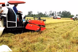 Vietnam busca un crecimiento del PIB de siete por ciento