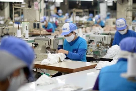 Tratado de libre comercio Vietnam-UE podrá entrar en vigor en julio 
