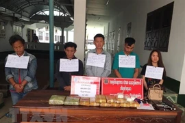 Provincias vietnamita y laosiana neutralizan red de narcotráfico transfronterizo