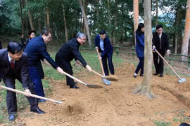 Lanzan en provincia vietnamita de Tuyen Quang festival de plantación de árboles