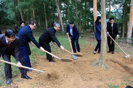 Lanzan en provincia vietnamita de Tuyen Quang festival de plantación de árboles