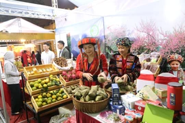 Ofrecen importantes descuentos en Mes de promoción y Día sin efectivo de Hanoi