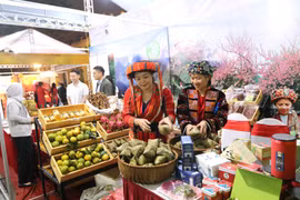 Ofrecen importantes descuentos en Mes de promoción y Día sin efectivo de Hanoi