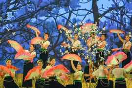Celebrarán distintas actividades culturales y turistas en provincia vietnamita de Dien Bien