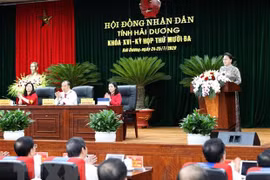 Provincia vietnamita de Hai Duong por promover desarrollo socioeconómico