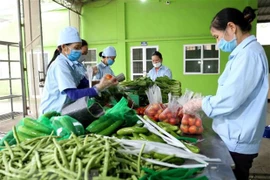 Provincia vietnamita verifica información de prohibición de productos agrícolas de Camboya